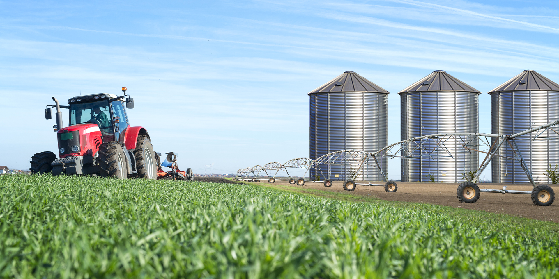 Especializado en Grandes Empresas de Producción